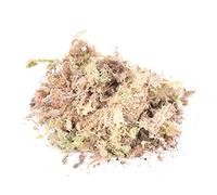 Aliments végétaux aquatiques, 100g sphaigne mousse sèche jardin hydratant nutrition engrais organique pour orchidée phalaenopsis musgo sphaigne