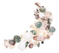 Alipis 1 Boîte Décoration Créative en Coquillage Ornement D'aquarium en Coquillage et Conque Accessoire de Loisirs Créatifs et Conque pour Décor Nautique et Décor de Plage