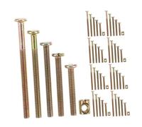Alipis 100 Pièces Kit Vis et Écrous pour Meubles Boulons à Tête Ronde Zingués Assortiment pour Assemblage et Remplacement Boîte de Rangement Portable Protection Anti-usure