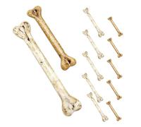 Alipis 12 pièces Mini Os Décoratifs Plastique avec Lot de Grands et Petits Accessoires et Résistants pour Bricolage Décoration Halloween Bijoux Suspendus et Décor de Table