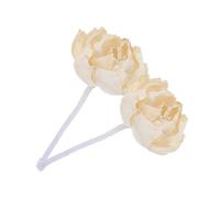 Alipis 2 Pièces Bâtonnets Diffuseurs de Roseaux Passifs Fleur Pivoine Artificielle Beige, Papier Tetrapanax Papyriferus, Facile à Remplacer, pour Aromathérapie Maison et Salons