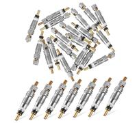 Alipis 20 pièces Noyau de Valve vélo cuivre pour pneus VTT tubeless Remplacement Ample et Installation Facile pour Cyclistes