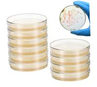Alipis 20 Pièces Plaques de Pétri Agar Nutrient Préparées pour Expériences Scientifiques Laboratoire Microbiologie