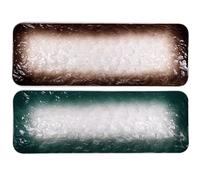 Alipis 2pièces Assiettes À Sushi Céramique Japonaises Lot de Assiettes Rectangulaires Décoratives pour Snack Et Service pour Dîner À Domicile Et Événements