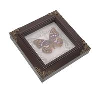 Alipis Big Purple Butterfly Spécimen photo bugs encadrés cadres décor vintage cadre d'image afficher décoration maison séchés encadrés décor rétro décoration Bois