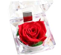 Alipis Boîte à Bague Acrylique avec Rose Préservée Rouge Cadeau Saint Valentin pour Femme Décor Romantique pour Anniversaire et Mariage