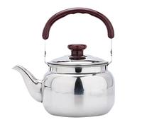 Alipis Bouilloire À Induction Petite Théière Bouilloire À Eau Et À Café En Acier Inoxydable Pour Cuisinières À Électriques Et À Induction