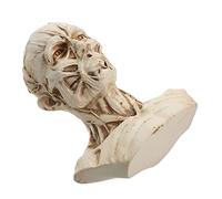 Alipis Croquis Statue Tête De Crâne Muscle Statue Anatomie Croquis Modèle Mannequin Modèles D'Anatomie Corps Humain Moitié Modèle Humain Tête De Crâne Dessin Modèle Modèle D'Anatomie