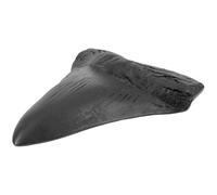 Alipis Dent de Requin Mégalodon Géante en Résine Réplique de Dent Fossile Décorative Kit D’Échantillon Pédagogique pour Décoration Intérieure Collection Paléontologie Maison et