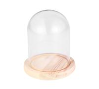 Alipis Dôme en Verre pour Micro Paysage Base Bois, Décoratif Transparent | Verre et Bois, pour Fleurs Éternelles et Petits Souvenirs, Atelier Diy, Table et Présent Saint-valentin
