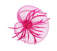 Alipis Élégant Accessoire de Cheveux à Nœud Voilette et Plumes Rose Clip Coiffure Créatif pour Mariage et Soirées Léger et Confortable