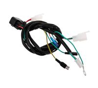 Alipis Faisceau Électrique Tout- Compatible Lifan Yinxiang Kit Câblage Démarrage Rapide Système Allumage Optimisé Harnais Moteur Sécurisé et Fiable