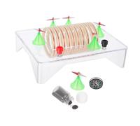 Alipis Kit Modèle Physique Électromagnétisme pour Éducation Physique avec Bobine Cuivre Tours et Boussole Démonstrateur Champ Magnétique Stable pour Expériences