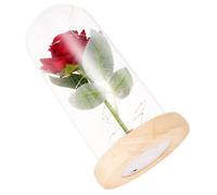 Alipis Lampe LED Décorative Verre Fleurs Roses Veilleuse pour De Saint Valentin Anniversaire des Mères