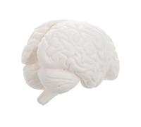 Alipis Modèle De Cerveau Humain : Modèle Anatomique Du Cerveau, Outil Pédagogique Pour L'apprentissage, L'enseignement Des Fonctions Anatomiques Humaines, La Psychologie, La