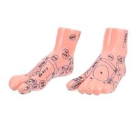 Alipis Modèle de Pied à Points D'acupuncture en Pvc Robuste, 1 Paire pour Massage Réflexologie Plantaire, Outil Pédagogique pour Enseignement Médical et Formation en Santé