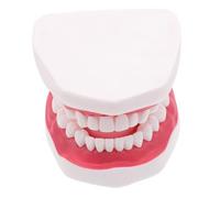 Alipis Modèle D'enseignement Oral Modèle De Pratique En Plastique