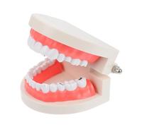 Alipis Modèle Éducatif de Dents pour Garçon Fille Apprentissage Interactif pour Développement Précoce et Enseignement Du Brossage