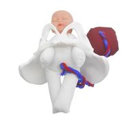 Alipis Modèle Obstétrical Féminin Complet avec Mini Bassin Fœtus Cordon Ombilical et Placenta Simulateur Réaliste Du Processus Accouchement pour Formation Médicale et Éducation Prénatale