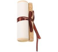 Alipis Papier à Calligraphie Chinoise Multifonctionnel Léger et Portable en Rouleau pour Création Artistique et Décoration Murale Facile à Ranger