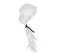 Alipis Perruque Avocat Homme Déguisement Adulte Longue Perruque Bouclée Blanche Avec Ruban Queue De Cheval Accessoires Cosplay Pour Événements Thématiques