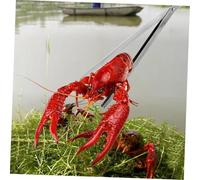 Alipis Pince à Eel Réutilisable Métal Antidérapante pour Crabes Écrevisses et Loach Outil Multifonctionnel pour Ramassage de Déchets