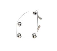 Alipis Plaque Arrière du Joint de Cou pour Guitare et Basse en Métal Argent avec Accessoires 1 Set