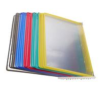 Alipis Présentoir Mural Organiseur de Documents 20 Pochettes A4 Transparentes en Plastique Coloré, Porte-flyers Bureau pour Affichage de Brochures et Dossiers, pour Salle de Classe