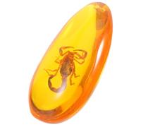 Alipis Spécimen Insecte Fossile Naturel Décoratif et Pédagogique Ornement Résine Collection Scorpion Cadeau Unique et Authentique