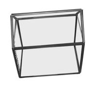 Alipis Terrarium Géométrique avec Couvercle de Table Intérieure pour Décoration Conteneur de Plantes et Fleurs