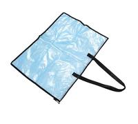 Alipis Transparent Poster Bag Large Artwork Organizer Folder with Reinforced Handle Tear-Resistant Storage for Posters Paintings and Documents Portable