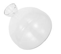 Alipis Vase Hydroponique Verre Transparent pour Pousse Avocat Grand Pot Stable pour Propagation de Plantes Décoration Élégante de Table Intérieur et Extérieur