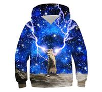 ALISISTER Sweat à Capuche 3D Enfants Amusant Chat drôle alpaga Graphique Pull Sweat Enfant garçon Fille à Manches Longues Sweat à Capuche