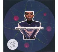 Alison Limerick - Where Love Lives (Come On In) 7 : Alison Limerick