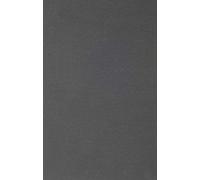 Alive In The Writing: Crafting Ethnography In The Company Of Chekhov