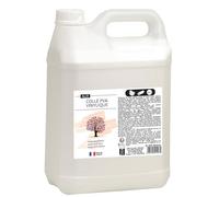 ALIX - Colle PVA Vinylique Blanche 5kg - Idéal Travaux Manuels et Loisirs Créatifs Dès 3 ans - Rentrée Des Classes - Fabrication Française