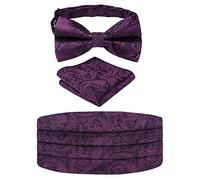 Alizeal Ensemble de nœud papillon pré-noué, cummerbund et carré de poche pour homme, réglable pour fête - Coffret cadeau, taille unique