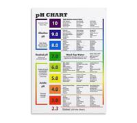 Alkaline Diet Balance Sheet pH Chart Metal Sign 12x8 Inch | Rustic tin wall art for home kitchen nutrition education