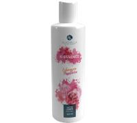 Alkemilla Eco Bio Cosmetic Lait Corporel K-Essence - Échinacée & Passiflore