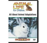 All About Animal Adaptations
