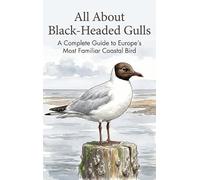 All About Black-Headed Gulls: A Complete Guide to Europe's Most Familiar Coastal Bird