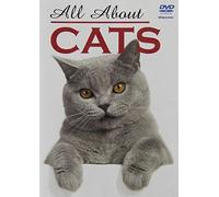 All About Cats [Import]