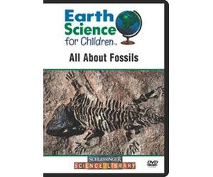 All About Fossils