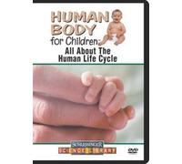 All About the Human Life Cycle