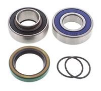 All Balls Kit Roulement Et Joint Différentiel 14-1024 Ski Doo