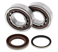 All Balls Kit roulements et joints spi de vilebrequin