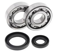 All Balls Racing 24-1017 Kit de roulement de manivelle et joint compatible avec/remplacement pour Suzuki RM 250 1986-1988