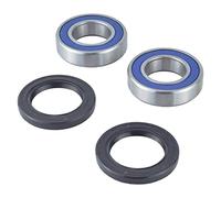 All Balls Racing Products – Kit roulement roue arrière 25-1273 argenté