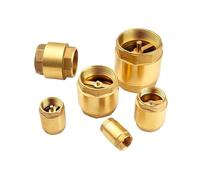 All-Copper Thickened Inner and Outer Wire Water Pipe Check Valve Spring One-Way Valve(Sv240W20 111g)