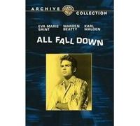 All Fall Down DVD E